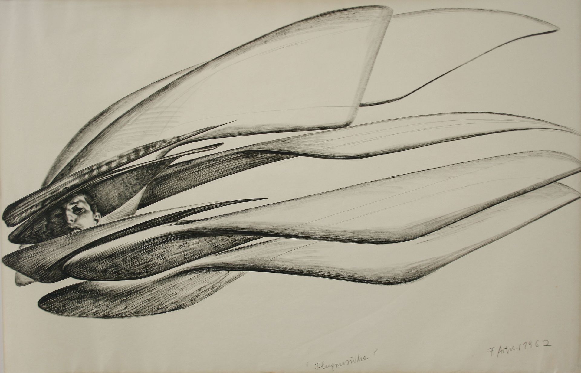Fritz Aigner-Flugversuche