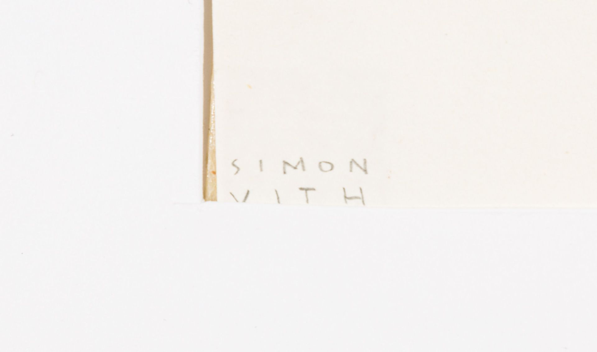 Simon Vith-Money launderer