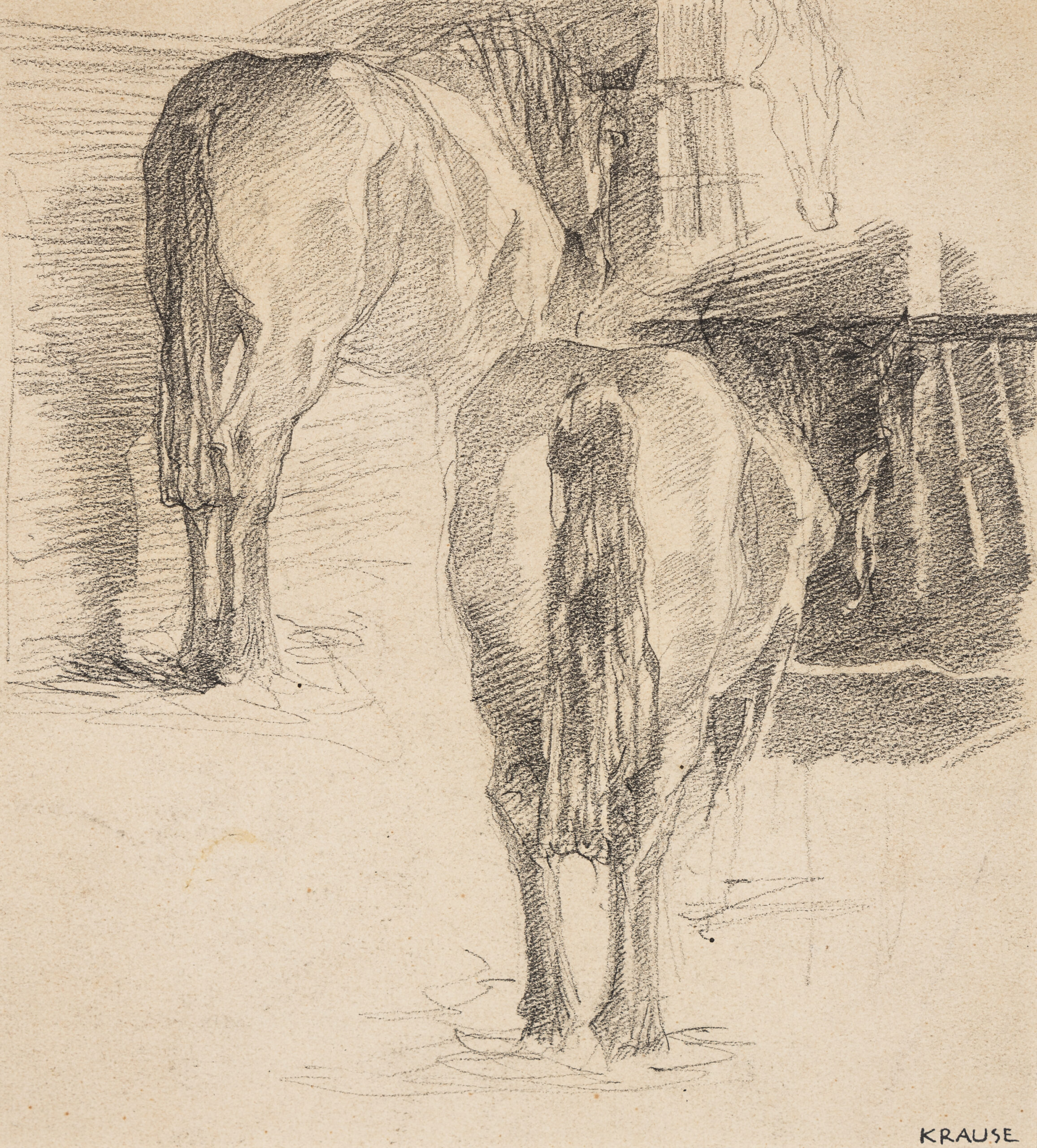 Krause Heinrich-Two horses (rear view)