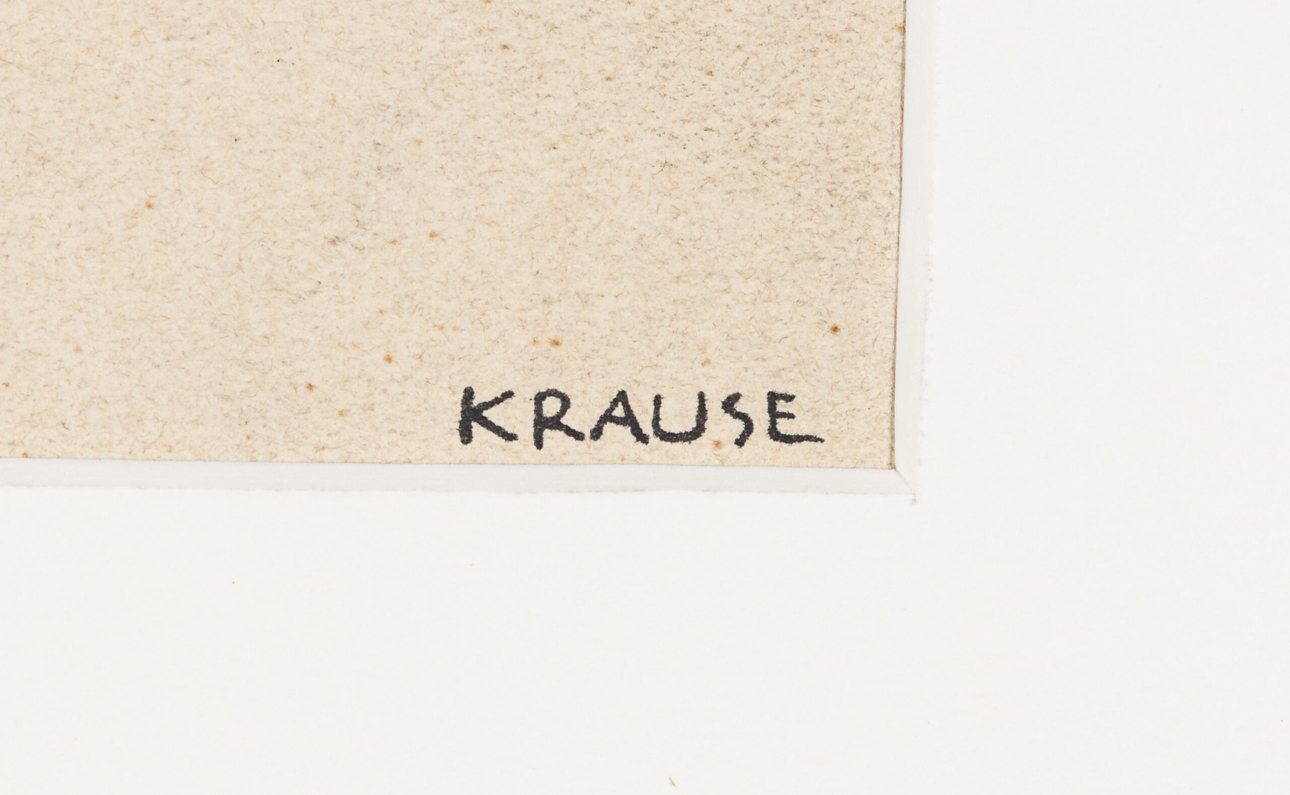 Krause Heinrich-Zwei Pferde (Hinteransicht)