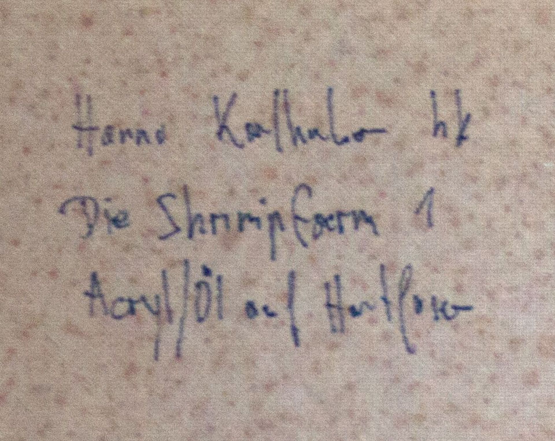 Hanno Karlhuber-Shrimpsfarm I