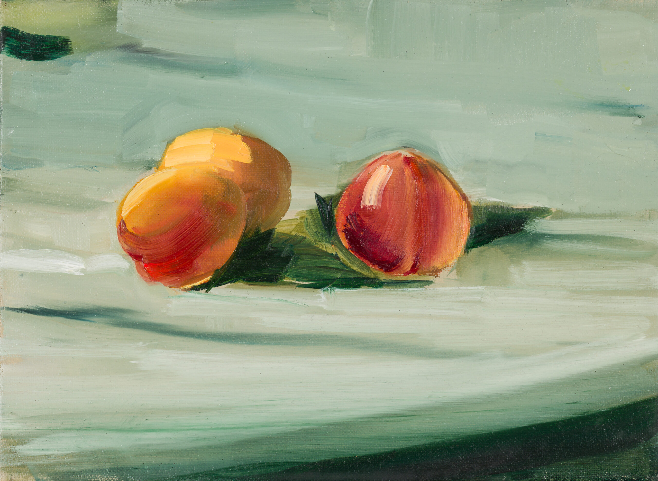 Alex Amann-Apricots