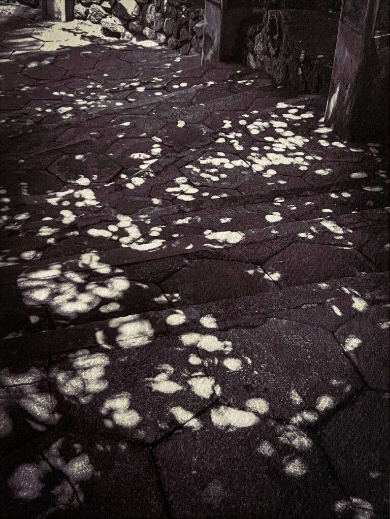 10180b_luisi_kerala_37-3