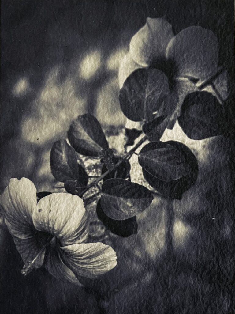 10181b_luisi_kerala_09-3