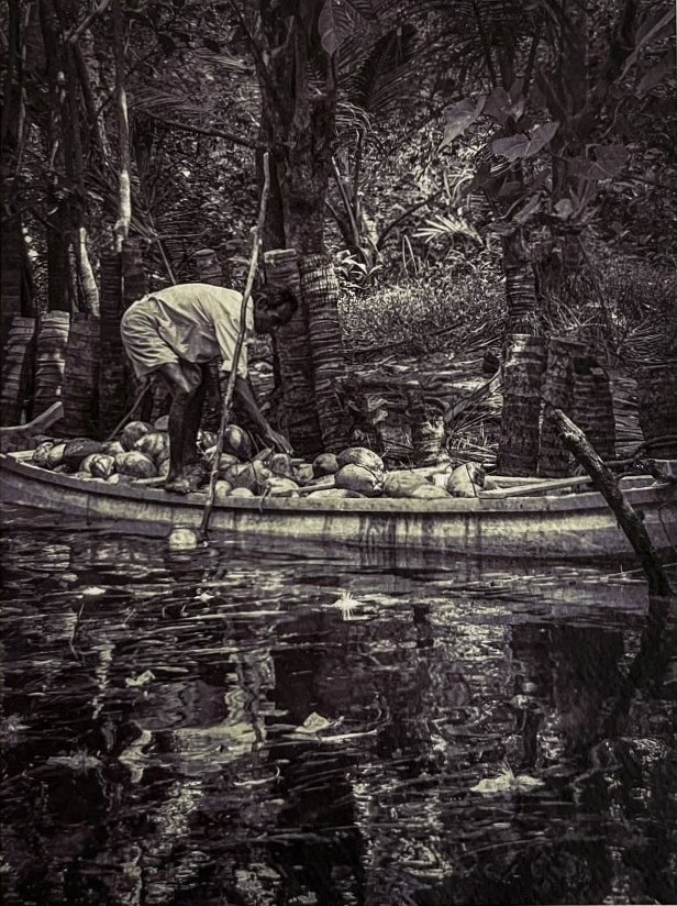 10186b_luisi_backwater_06-2