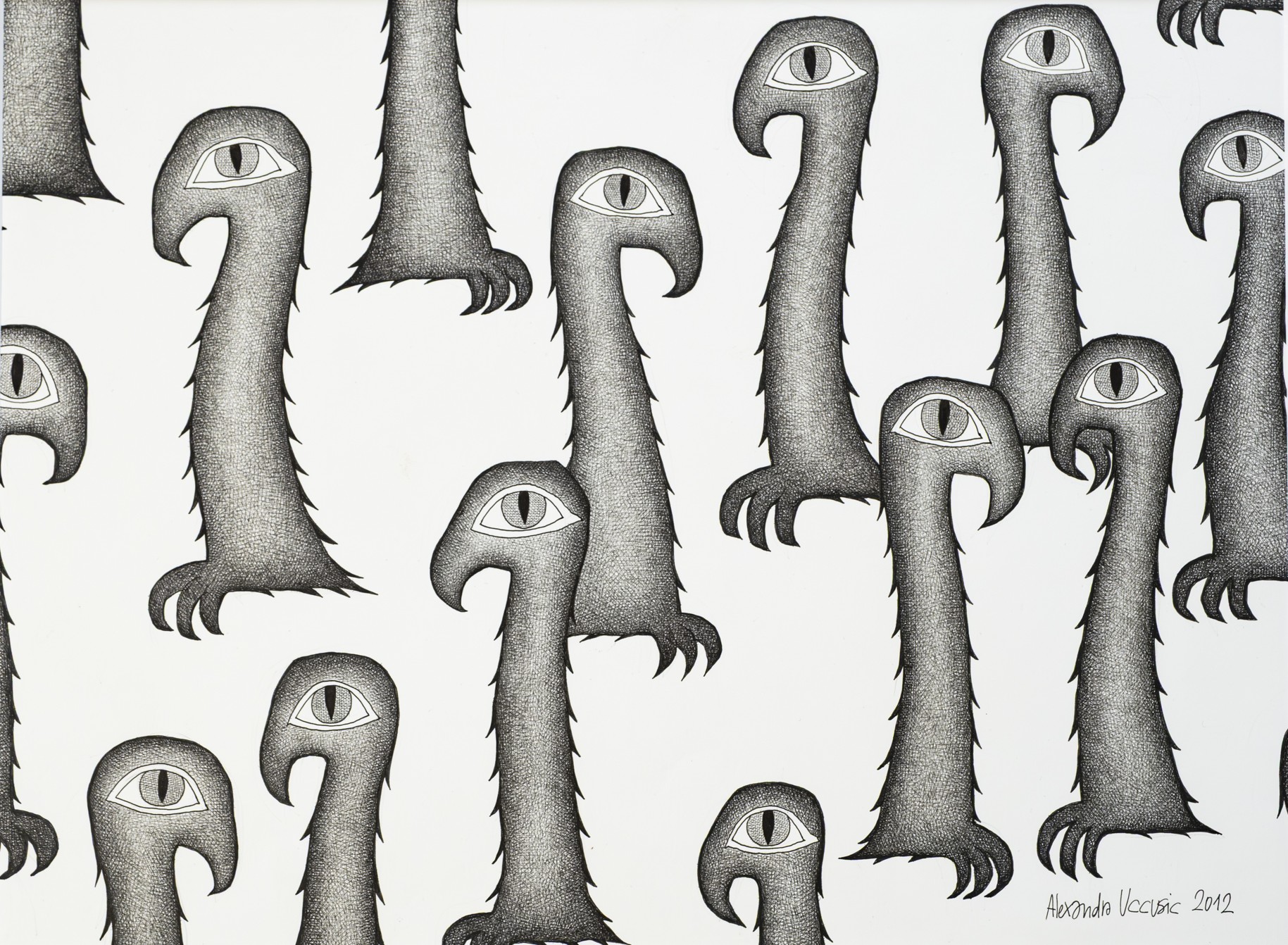 Alexandra Uccusic-Freundliche kleine Krallenvögel