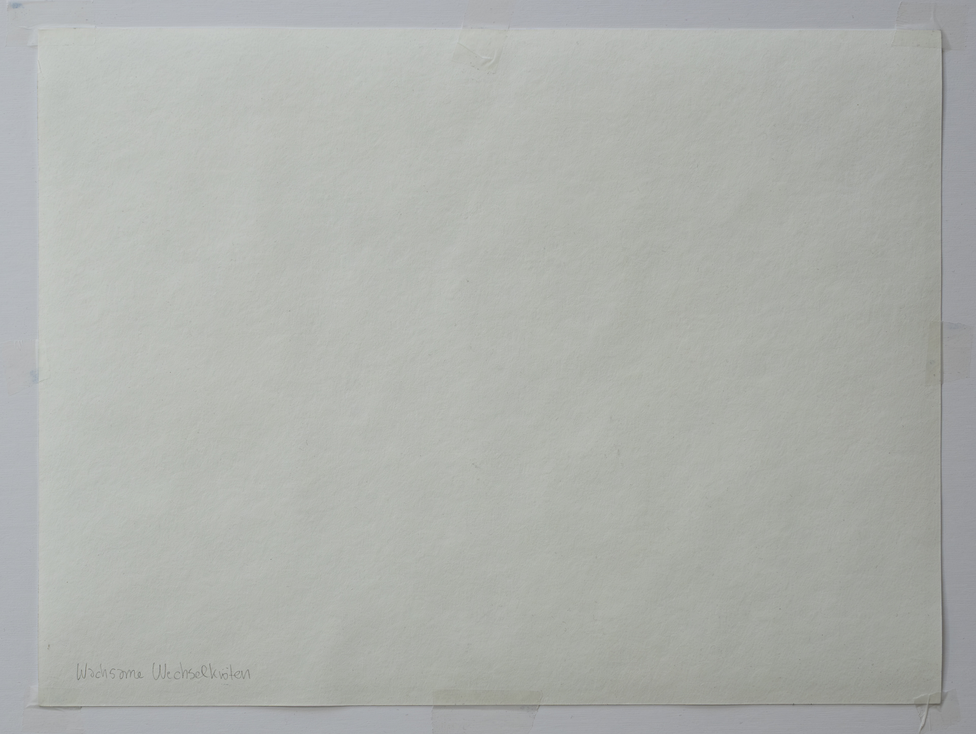 Alexandra Uccusic-Wachsame Wechselkröten