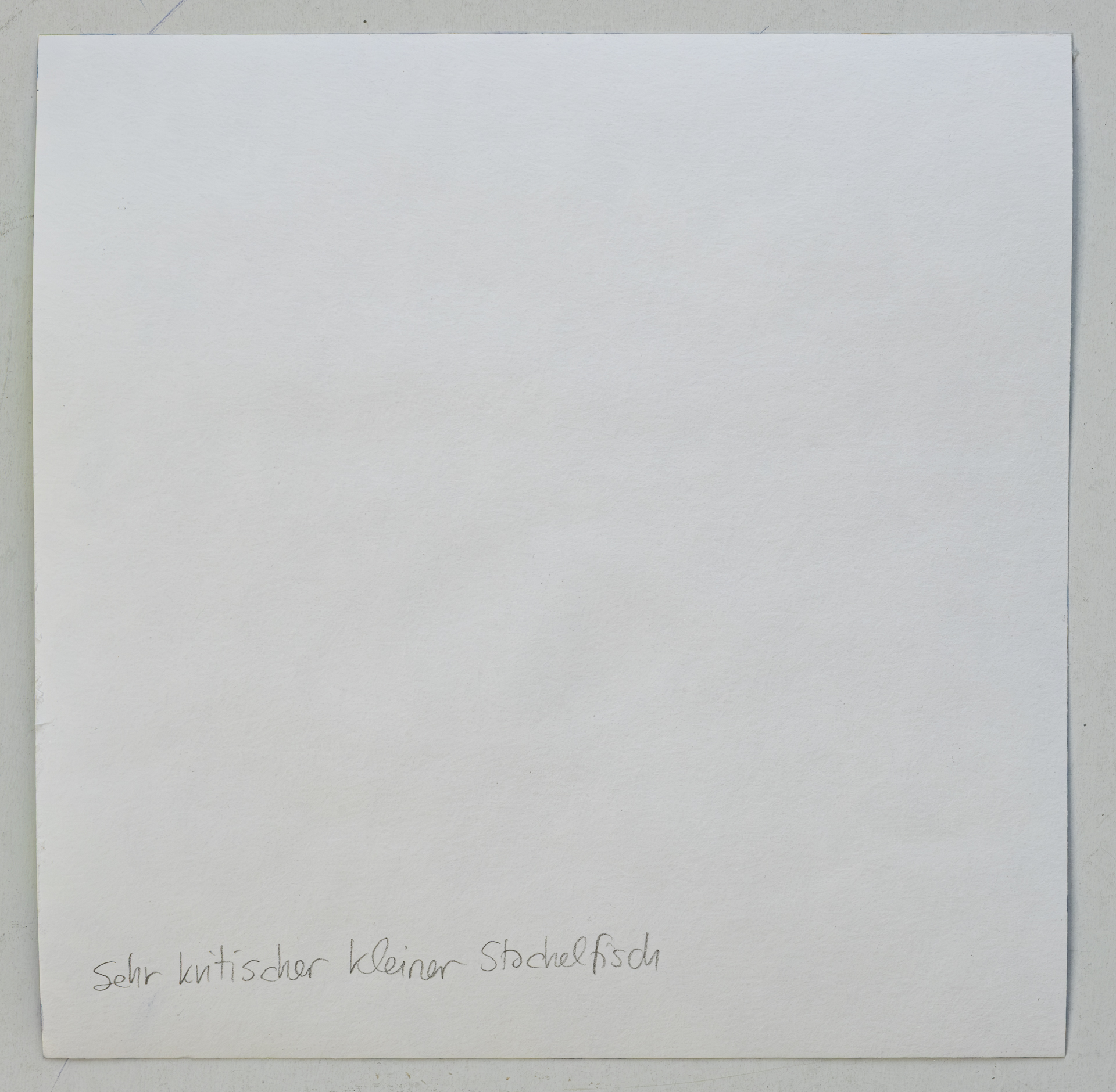 Alexandra Uccusic-Sehr kritischer kleiner Stachelfisch