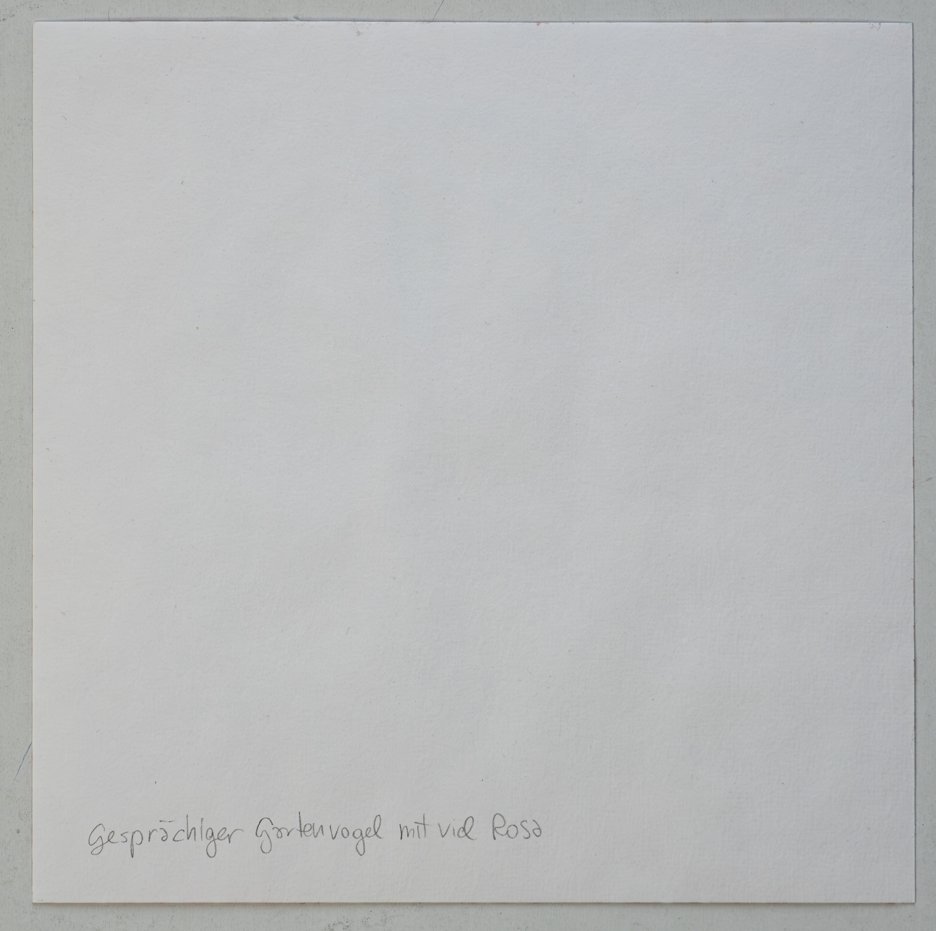 Alexandra Uccusic-Gesprächiger Gartenvogel mit viel Rosa