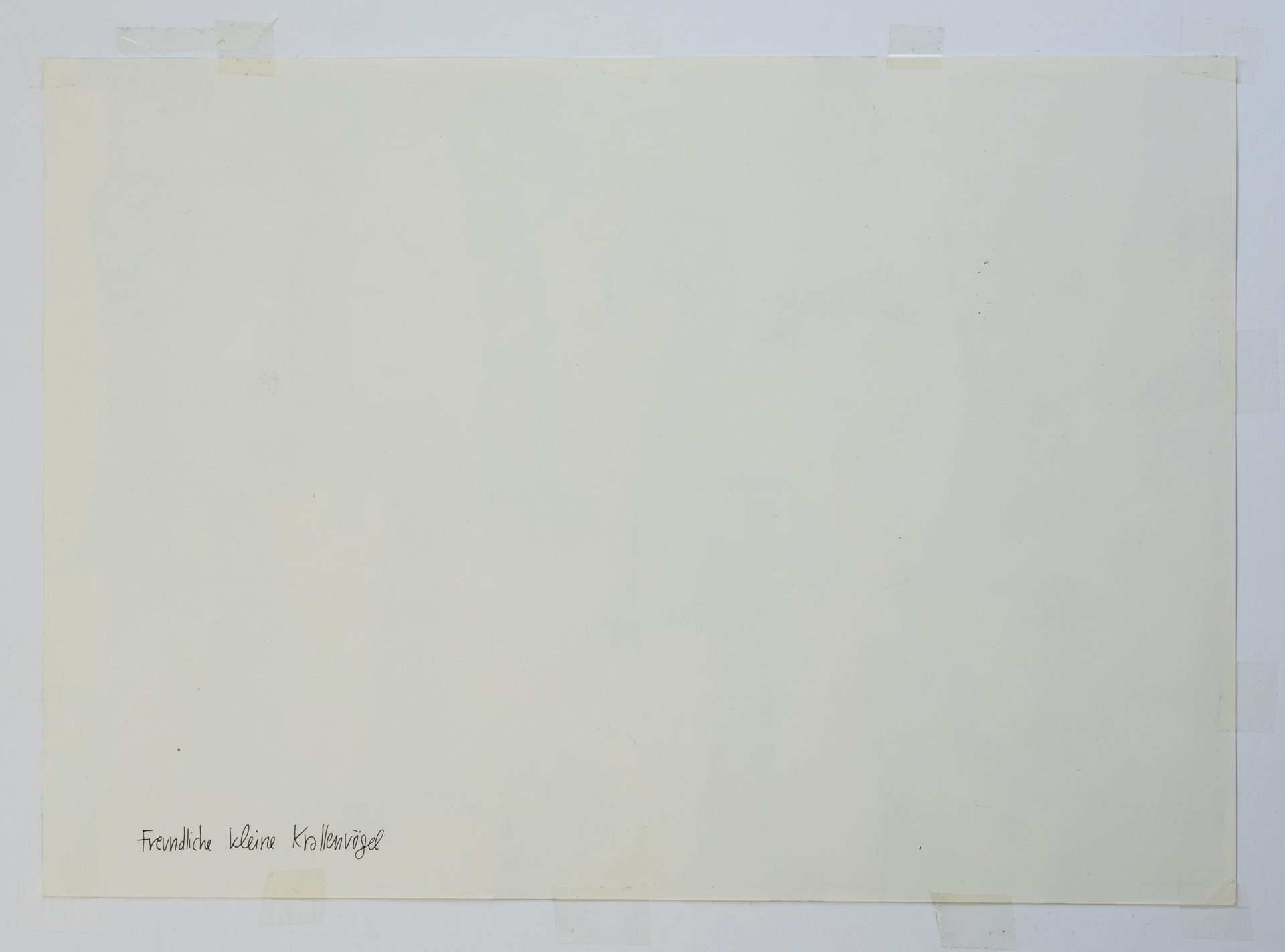 Alexandra Uccusic-Freundliche kleine Krallenvögel