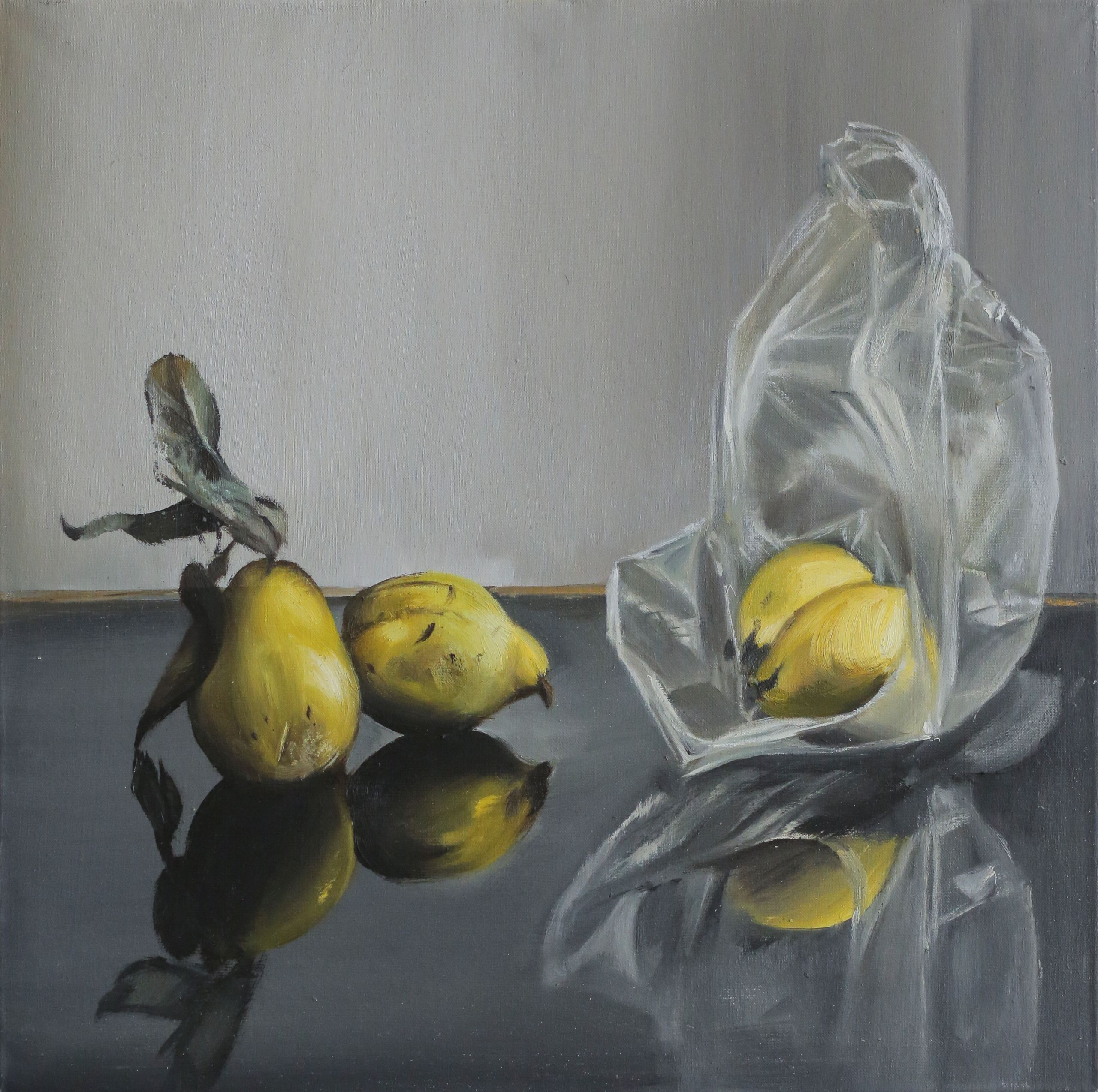 Matthias Bade-Birnenquitten mit Plastiksackerl