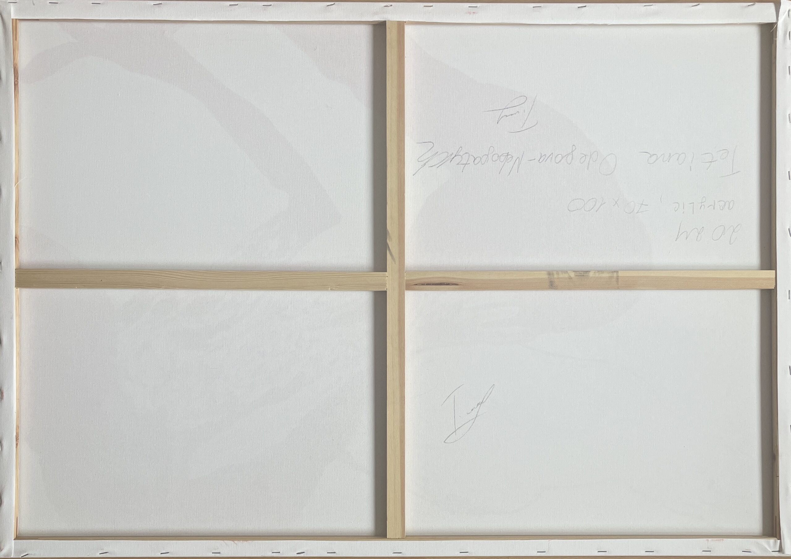 Tetiana Odegova-Nebogatykh-Ohne Titel