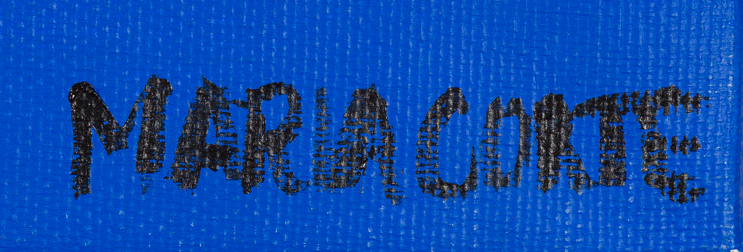 Maria Corte-Barkinon