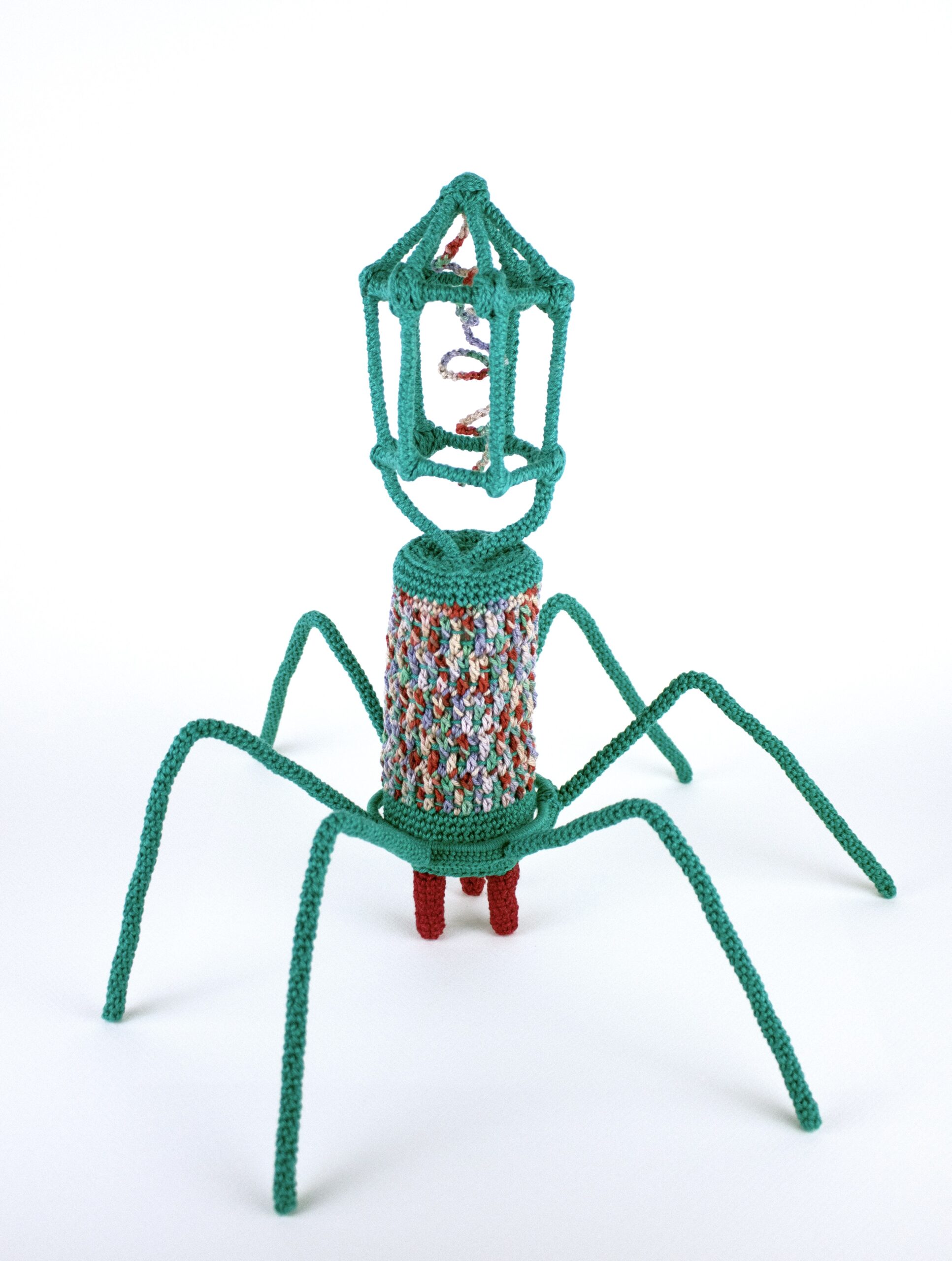 Rica  Fuentes Martinez -BAKTERIOPHAGE