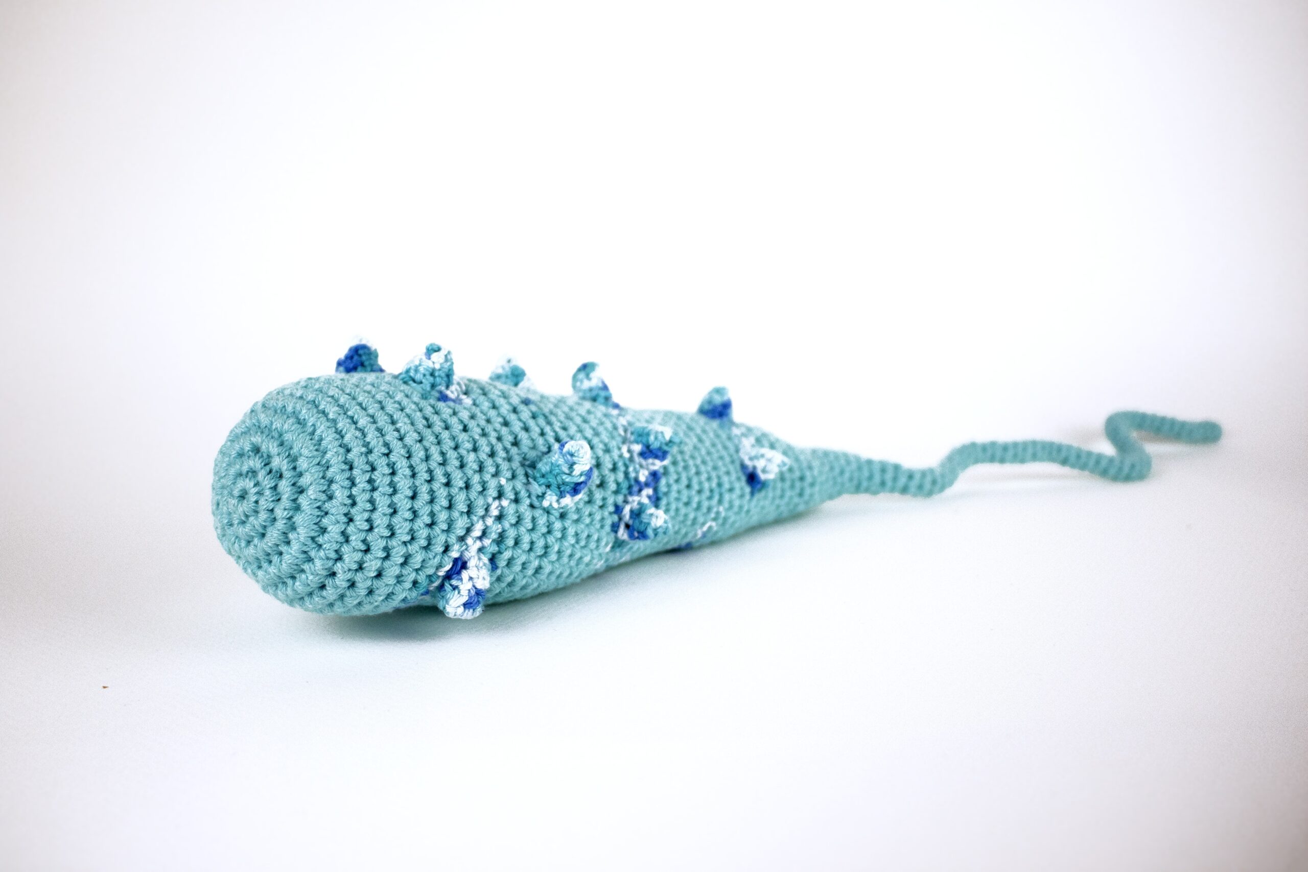 Rica  Fuentes Martinez -VIBRIO CHOLARAE 