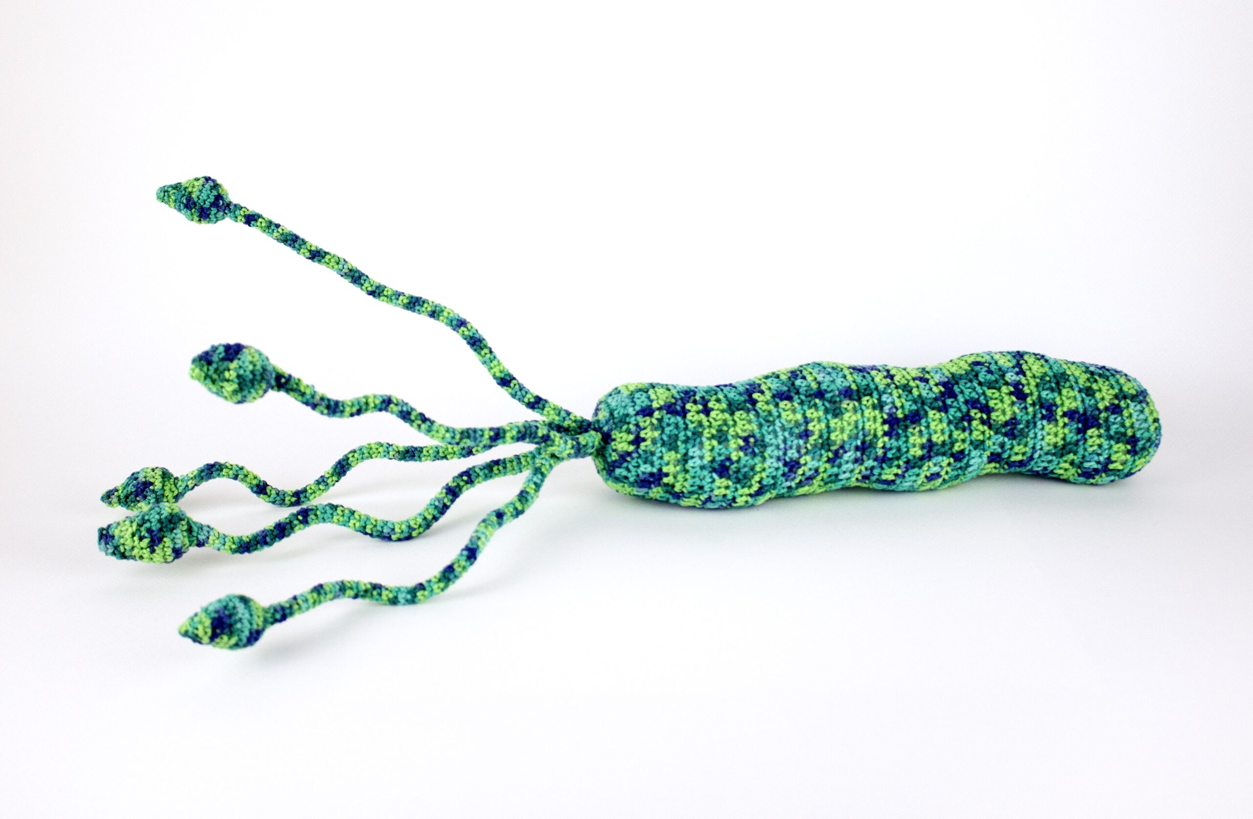 Rica  Fuentes Martinez -HELICOBACTER PYLORI