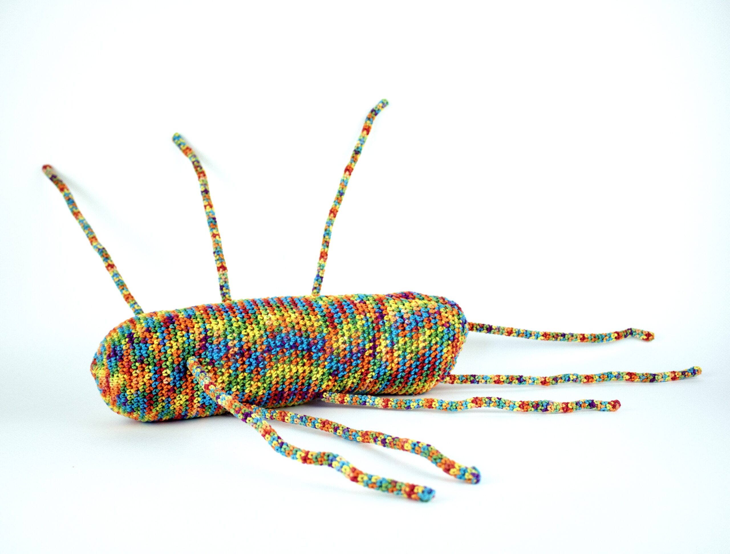 Rica  Fuentes Martinez -