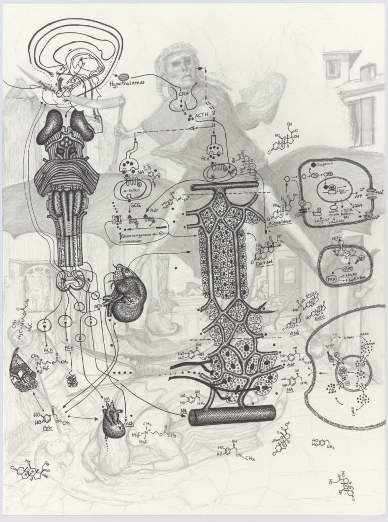 yersinia_pestis_iii_web_kopie