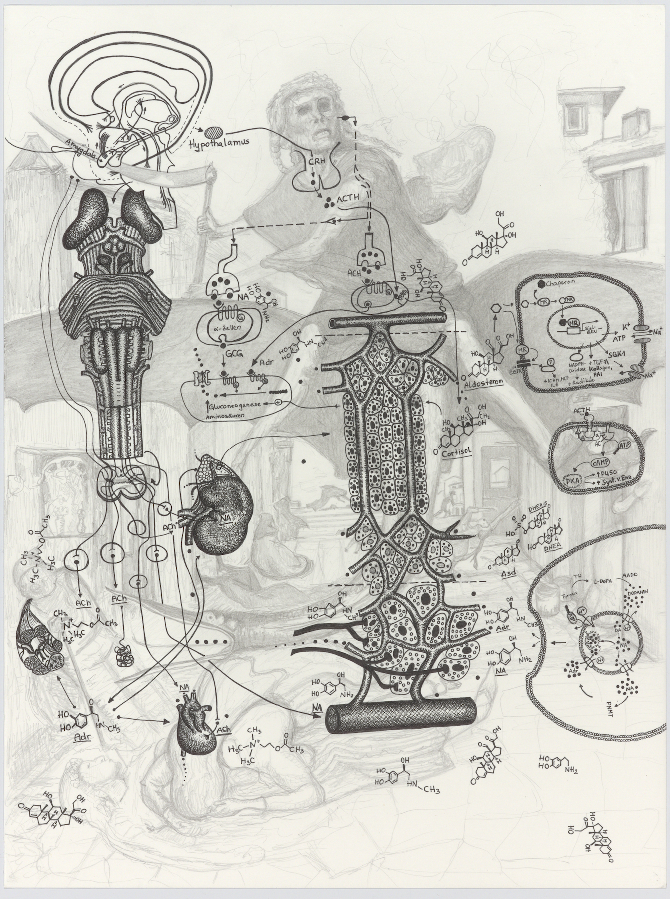 Rica  Fuentes Martinez -Yersinia Pestis III 