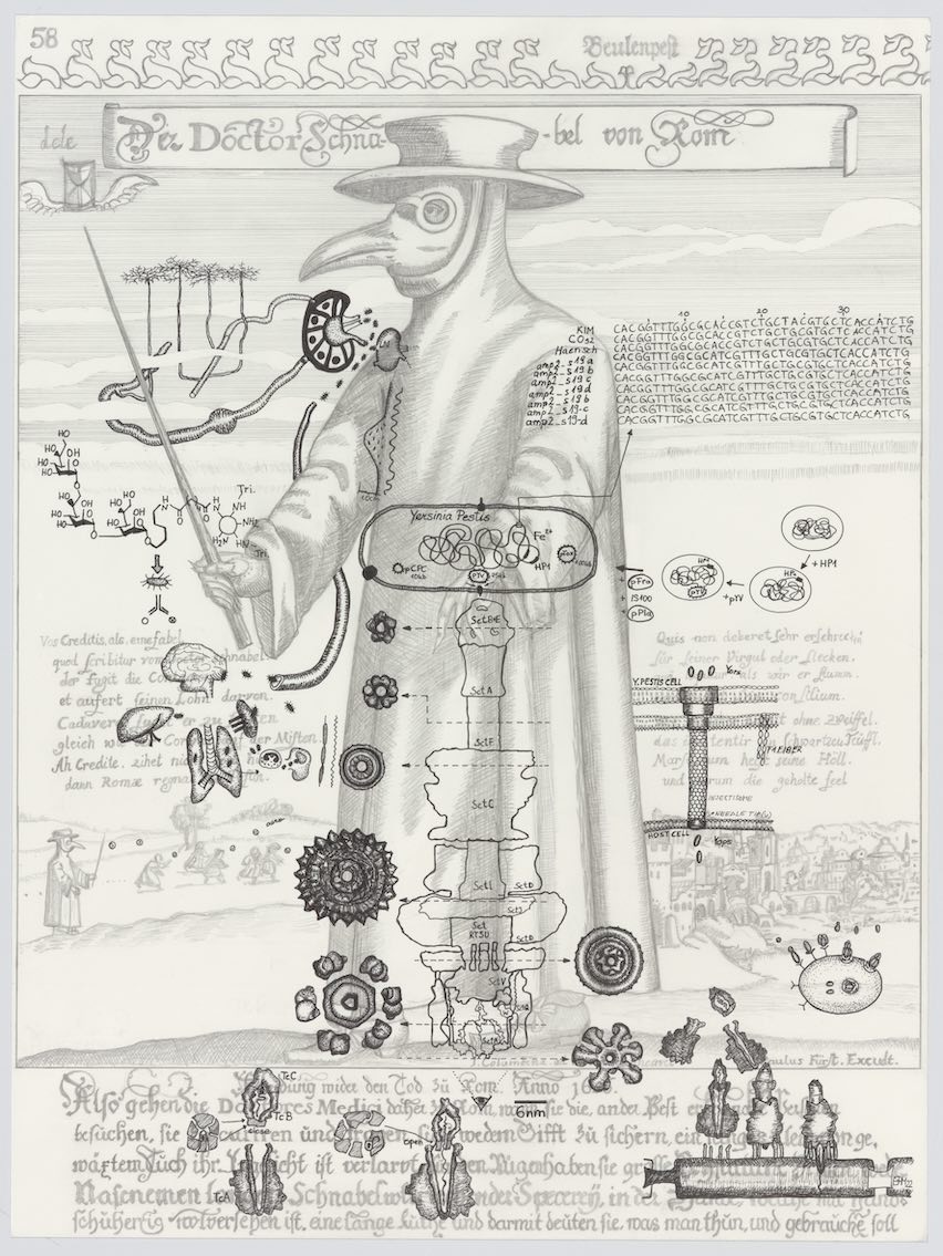 Rica  Fuentes Martinez -Yersinia Pestis II